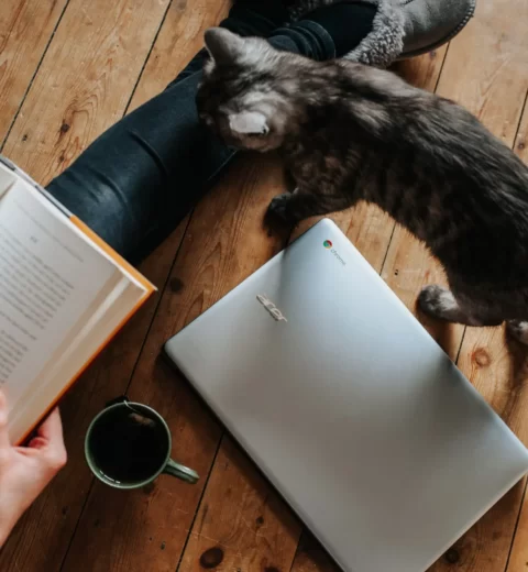 شغل پاره وقت چند ساعت است؟