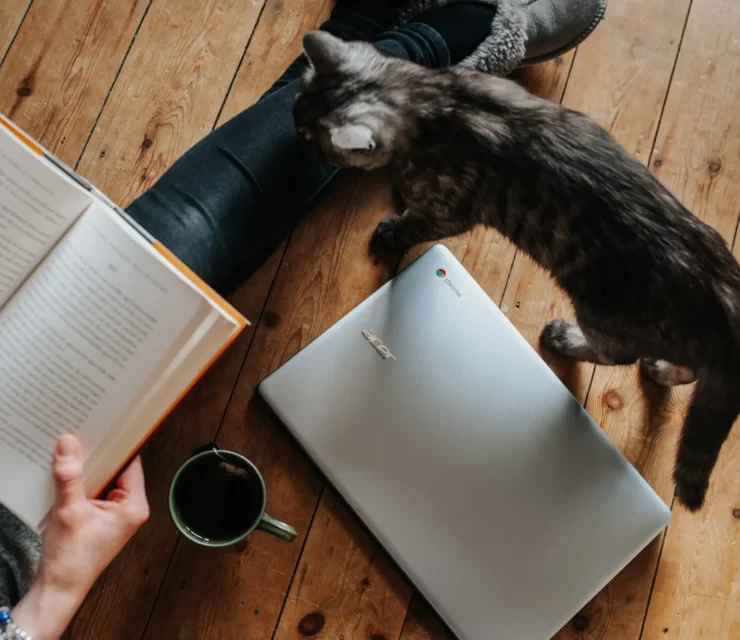 مفهوم دورکاری چیست