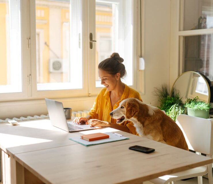 شغل پاره وقت چند ساعت است؟